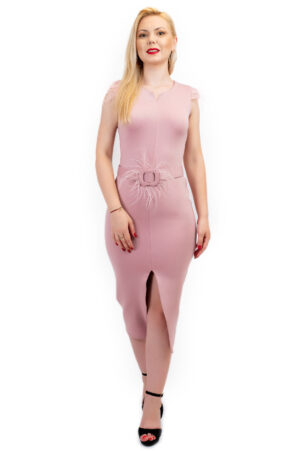Rochie Eleganta Evora Roz Prafuit