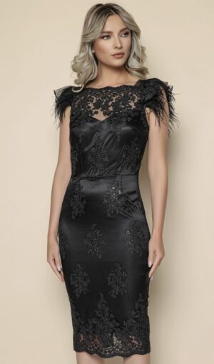 Rochie de ocazie neagra din dantela accesorizata cu pene la umar