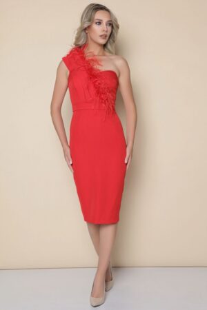 Rochie eleganta mulata pe corp de culoare rosie prevazuta cu pene
