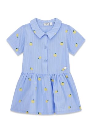 Rochie evazata cu broderii - Albastru pastel